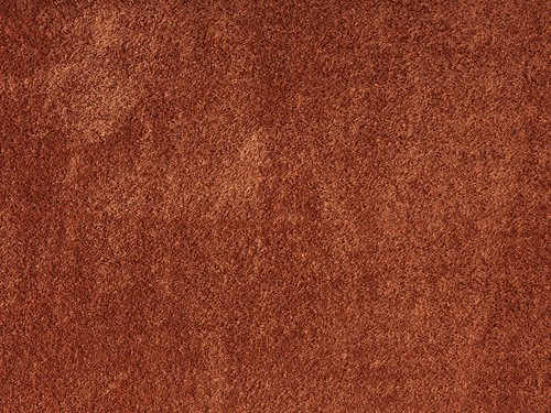 Extra Large Thick Shaggy Rug Soft Carpet for Bedroom Living Room Hallway - Picture 3 of 15