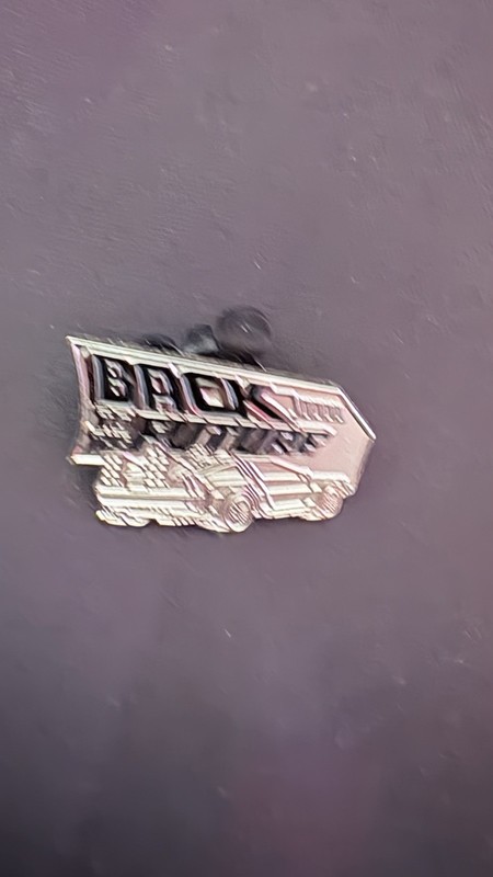Back To The Future Pin