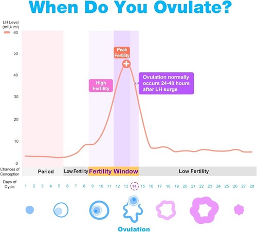 NEW Easy@Home 50 Ovulation Test Strips and 20 Pregnancy Test Strips Combo Pack - Picture 6 of 9
