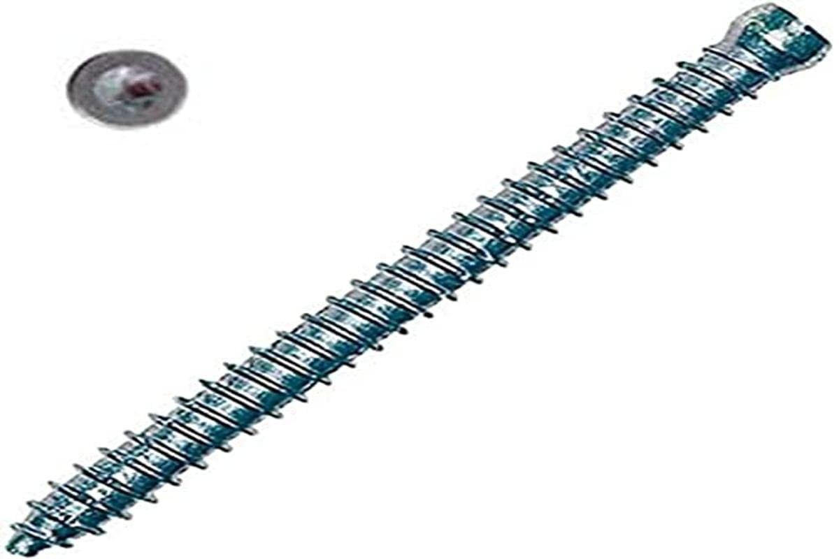 Fischer FFSZ Vite Infissi Testa Cilindrica - Confezione 100 Pezzi TX30