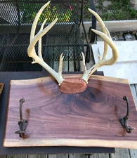 Live Edge Slab Walnut Antler Hall Tree  (HT8)