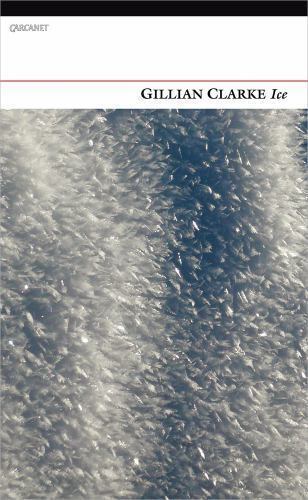 Ice by Gillian Clarke (2013, Trade Paperback)