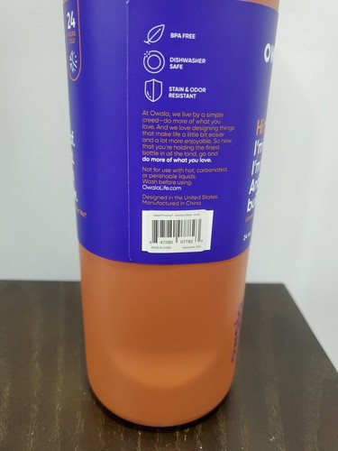 Owala FreeSip Stainless Steel Water Bottle / 24oz / Color: Gemstone Chic - 第 6/9 張圖片