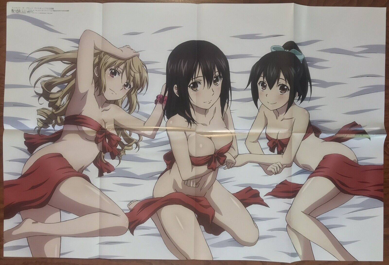 Girls und Panzer Strike The Blood Is the Order a Rabbit? Promo 2 Posters FS  +TN