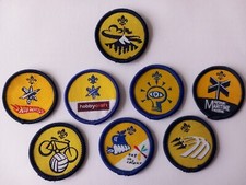 Beaver Scout Activity Badges post 2002