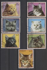 CAT STAMPS Colorful Set of 7 Different Cat Topical Stamps from Paraguay