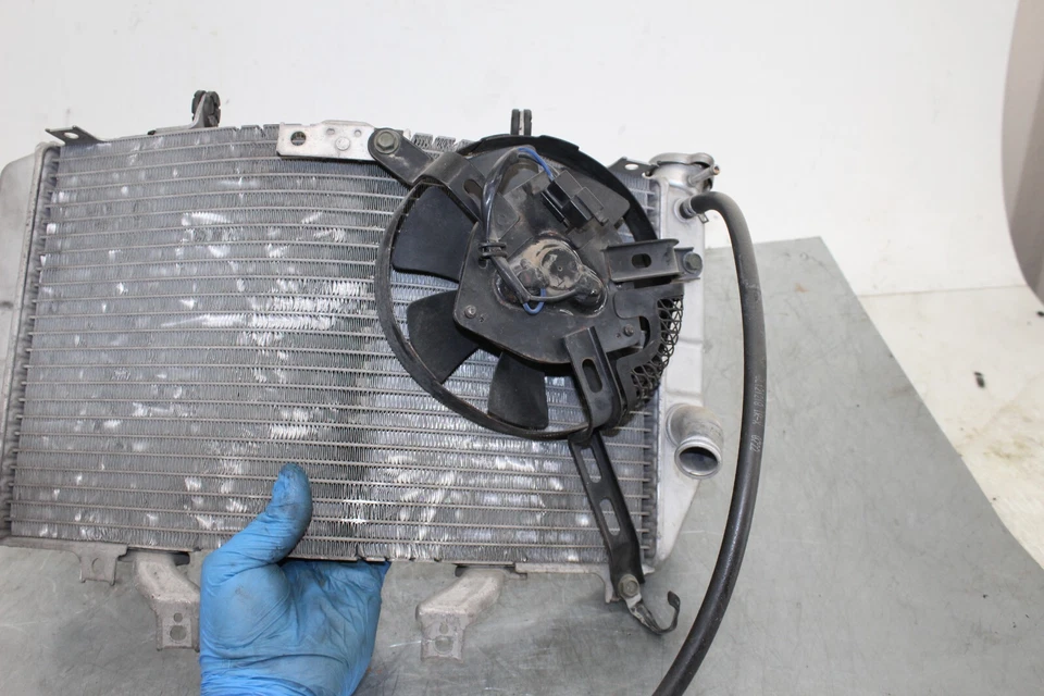 03-04 Suzuki GSX-R1000 GSXR 1000 радиатор двигателя охладитель охлаждающей жидкости OEM 2004 - Изображение 2 из 4