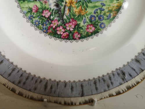 Piatto Royal Albert "Betulla Argento 10" - Foto 5 di 5