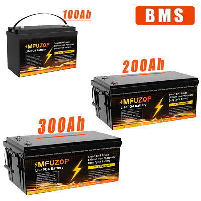 12V 100Ah/200Ah/300Ah Lithium Battery LiFePO4 With BMS f RV Solar Boat Off-grid