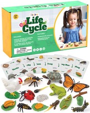 Life Cycle Animal Kit - Montessori Science with 24-Piece Matching Game, Butte...