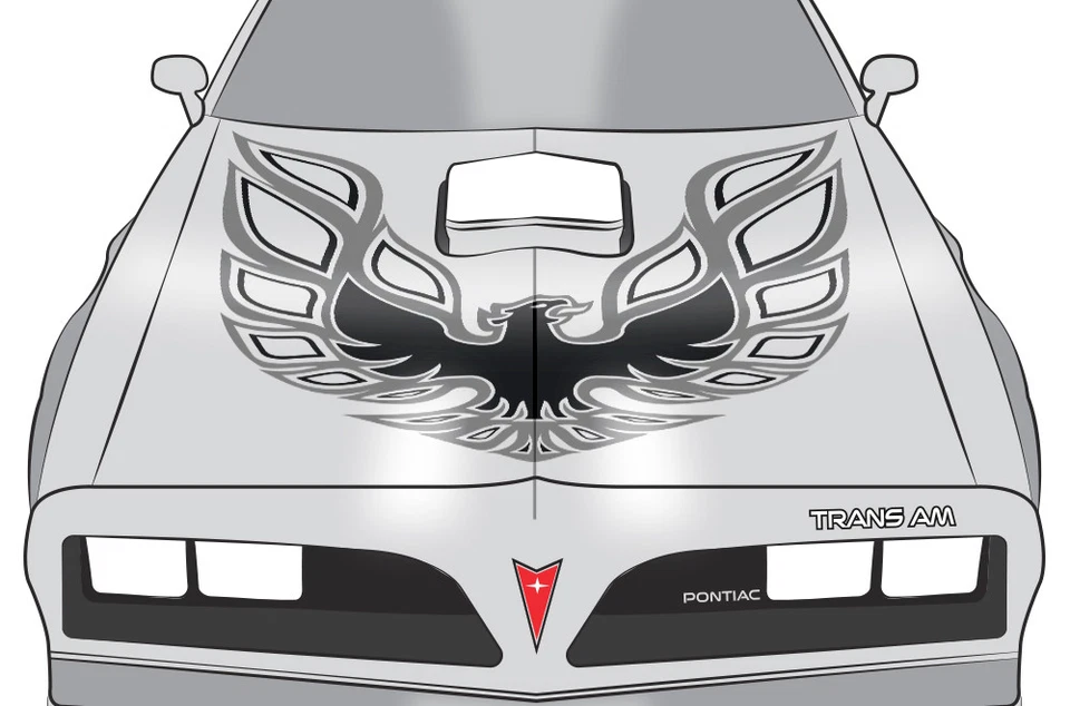 Calcomanía gráfica Firebird Hood 42" X 42" para Pontiac Trans Am GRIS NEGRO Foto 2 de 2