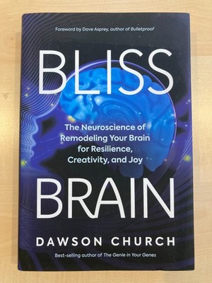 Bliss Brain: The Neuroscience of Remodeling Your Brain for Resilience