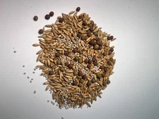 10 lbs. The Frosted Field Food Plot Mix Winter Peas, Wheat, Crimson Clover, Oats