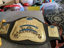 Jakks Pacific 2003 WWE WWF World Tag Team Championship Title Belt Kids Foam