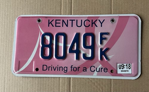 2018 Kentucky KY License Plate Driving For a Cure 8049 FK
