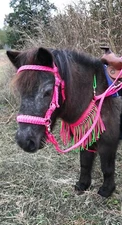 pony Fringe Breast Collar tack set, pony tack, pink pony tack set
