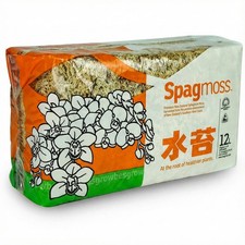 besgrow Premium New Zealand Sphagnum Moss, 150g 12L When Quantity 1, Tan