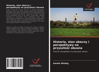 Historia, Stan Obecny I Perspektywy Na Przysz¿O¿¿ Obuwia Awoke Wodag Taschenbuch