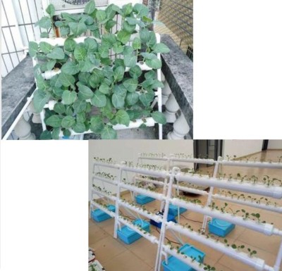 Brand New Wall Mounting Hydroponic 36 Plant Site Grow Kit with Enhanced Tubes