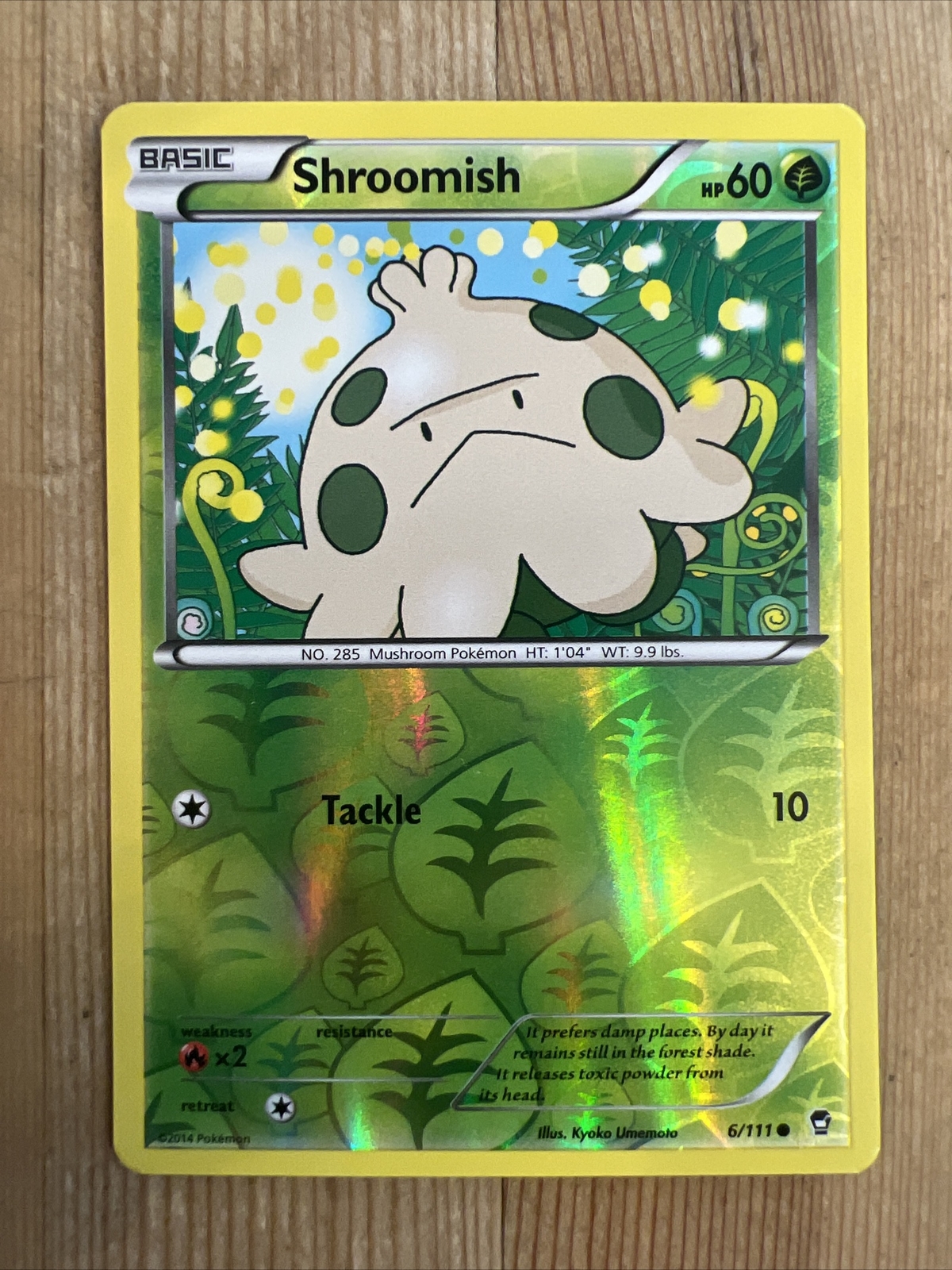 Pokémon TCG Shroomish Furious Fists 6/111 Reverse Holo Common NM