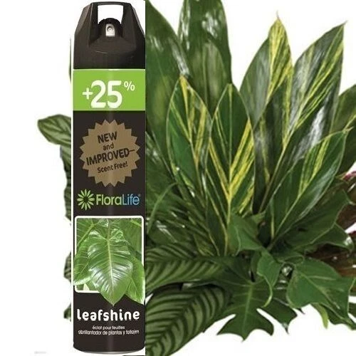 Landscaping & Garden Materials