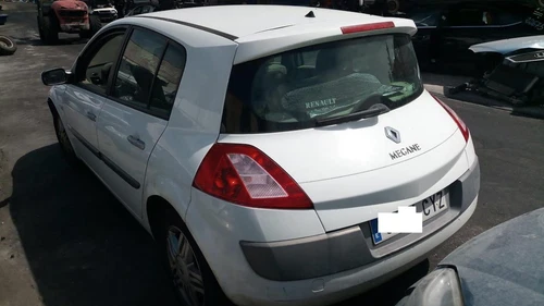 Elevalunas Trasero Derecho para RENAULT MEGANE II BERLINA 5P 2004 781184 - Imagen 7 de 9