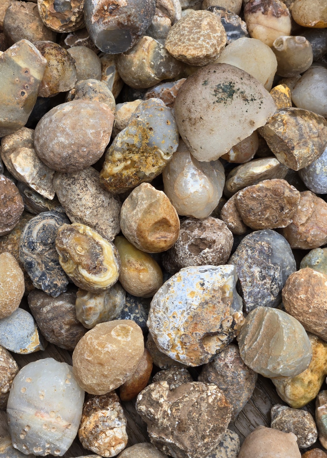 Oco Agate Geodes Whole - Mine Run Rough - 1 Pound Lb - Mostly Solid Agate