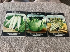 3 Vintage Seed Packets.Card Seed Co Fredonia NY Beautiful Color Genesee Litho