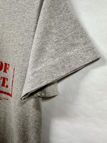 Vintage UW Wisconsin Badgers Athletic Department T Shirt Gray Medium Bucky Mad - Picture 5 of 16