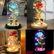 Enchanted Forever Rose In Dome Glass LED Light Valentine's Day Girlfriend Gift