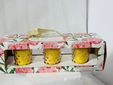 Martha Stewart Glass Candles Gift Set Of 3 Peony Garden Votives New Boxed