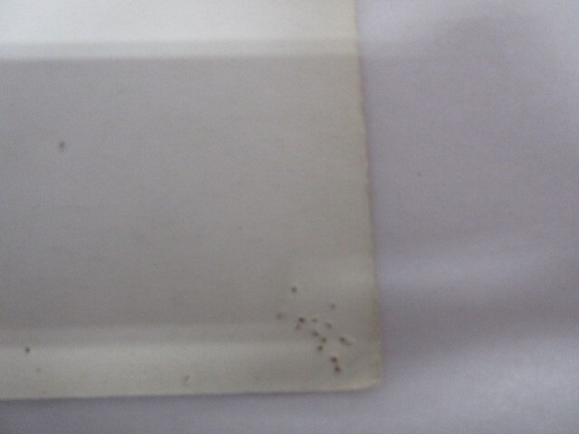 Picture 9 of 9