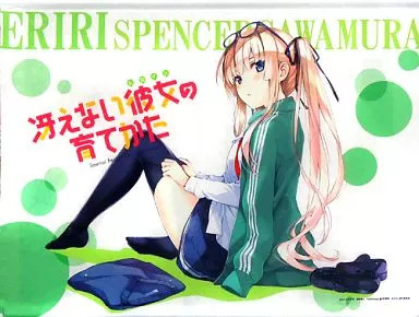 Tapestry Eri Misaki Kurehito'S Original A1 How To Raise A Boring Girlfriend C87