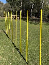 BlueDot Trading Soccer Agility Training Poles for Multi-Sport Outdoor Games, ...