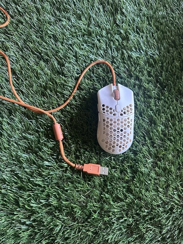 Final Mouse Cape Town Not Working Parts