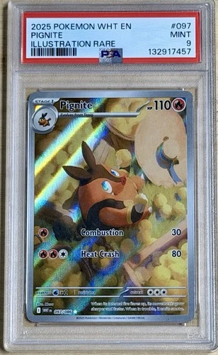 2025 Pokemon White Flare Pignite #97 Illustration Rare - PSA 9 Mint