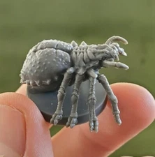 Giant Wolf Spider Mini Miniature Figure Dungeons & Dragons Pathfinder D&D RPG