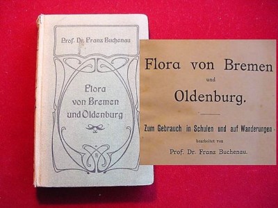 Buchenau + Focke Flora von Bremen und Oldenburg 1913 Prof. Dr. Franz Buchenau