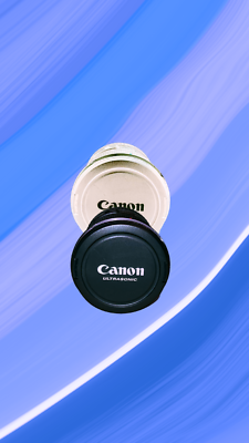 Canon EF 17-35mm f/2.8 L USM Lens for sale online | eBay