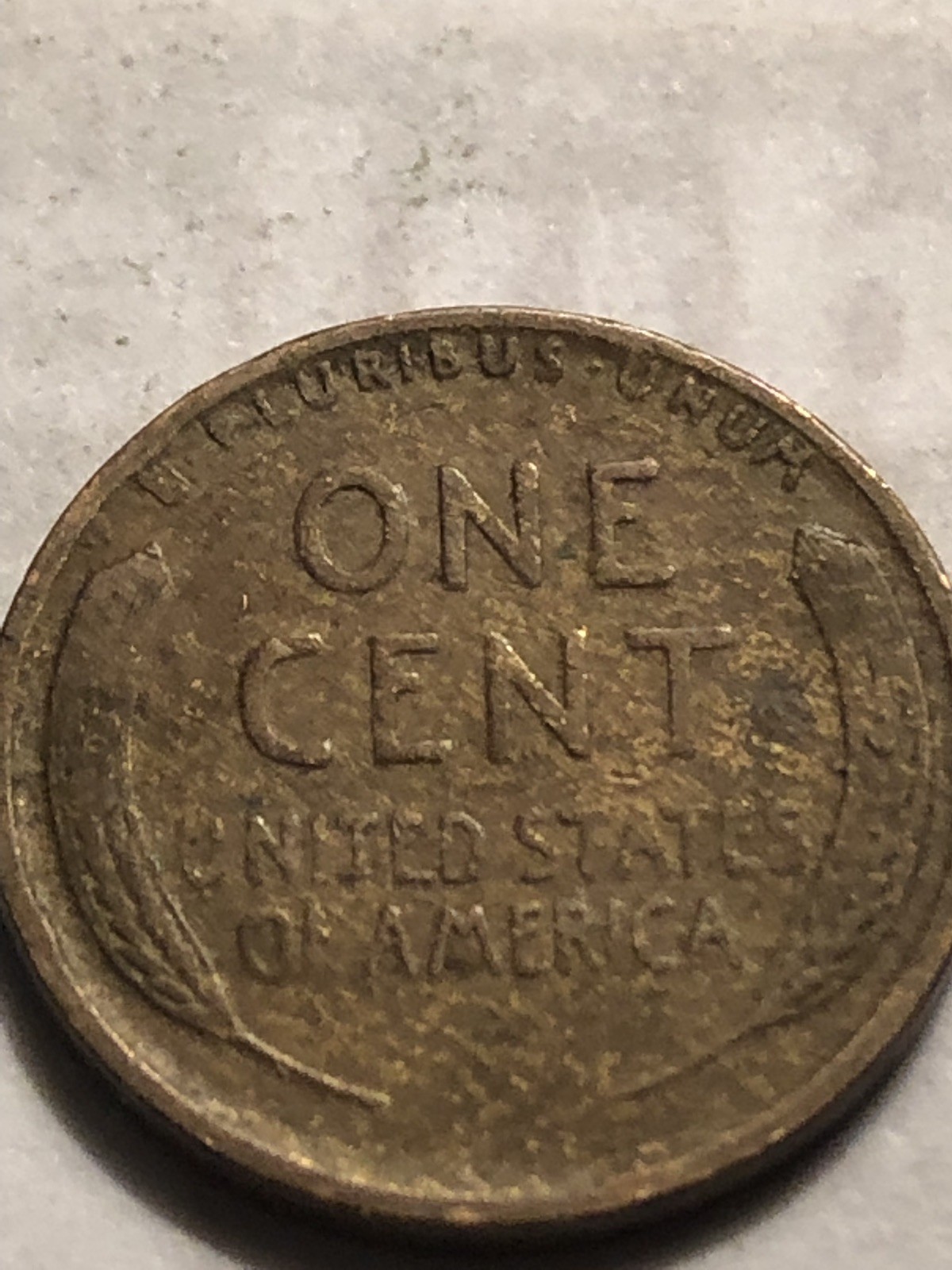 Picture 10 of 12