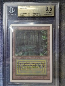 Bayou Unlimited | eBay