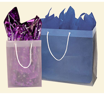 Frosted Bags Uline Merchandise Bags 250 Pcs Clear 8x4x10