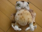 Bild 9 von 12