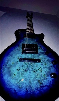 Les Paul Gitarre Les Paul E Gitarre Shecter Standard