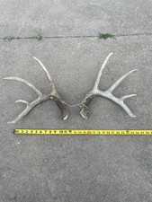 KS WHITETAIL SHEDS NICE BROWN SET of 2- CABIN DECOR, TAXIDERMY, MAN CAVE, CRAFTS