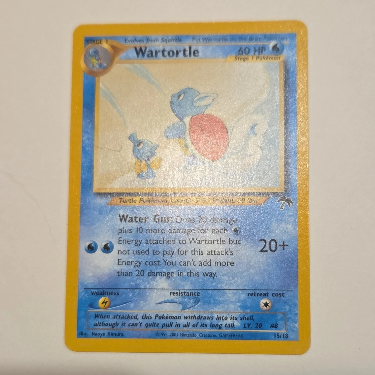 Wartortle Southern s 英語版 15/18 Wartortle [Normal MP - Southern