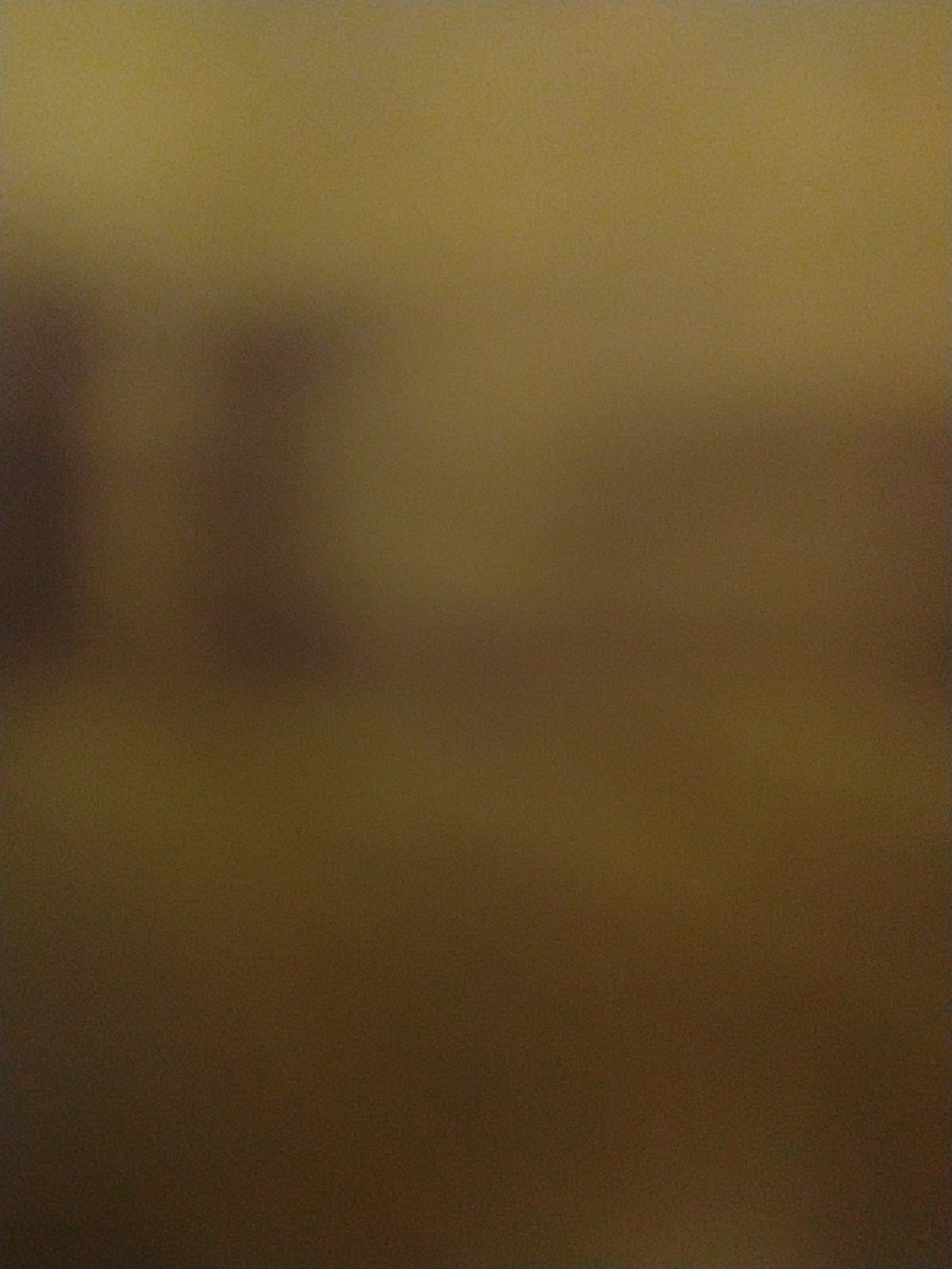 Picture 20 of 20