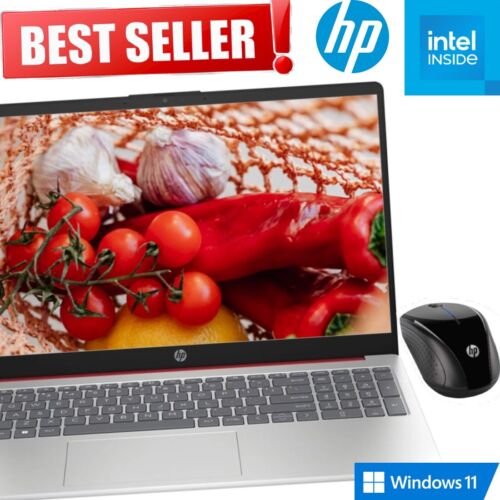 Lot d'ordinateurs portables HP 15,6 DEL ! Intel N200 3,70 GHz 128 Go disque SSD HDMI Windows 11 - Photo 1 sur 10