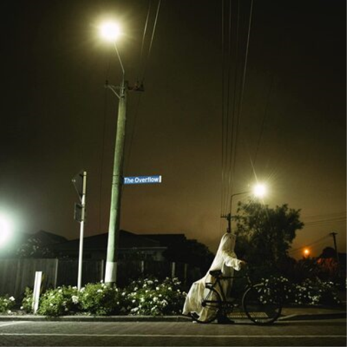 French for Rabbits The Overflow (Vinyl LP) 12" Album