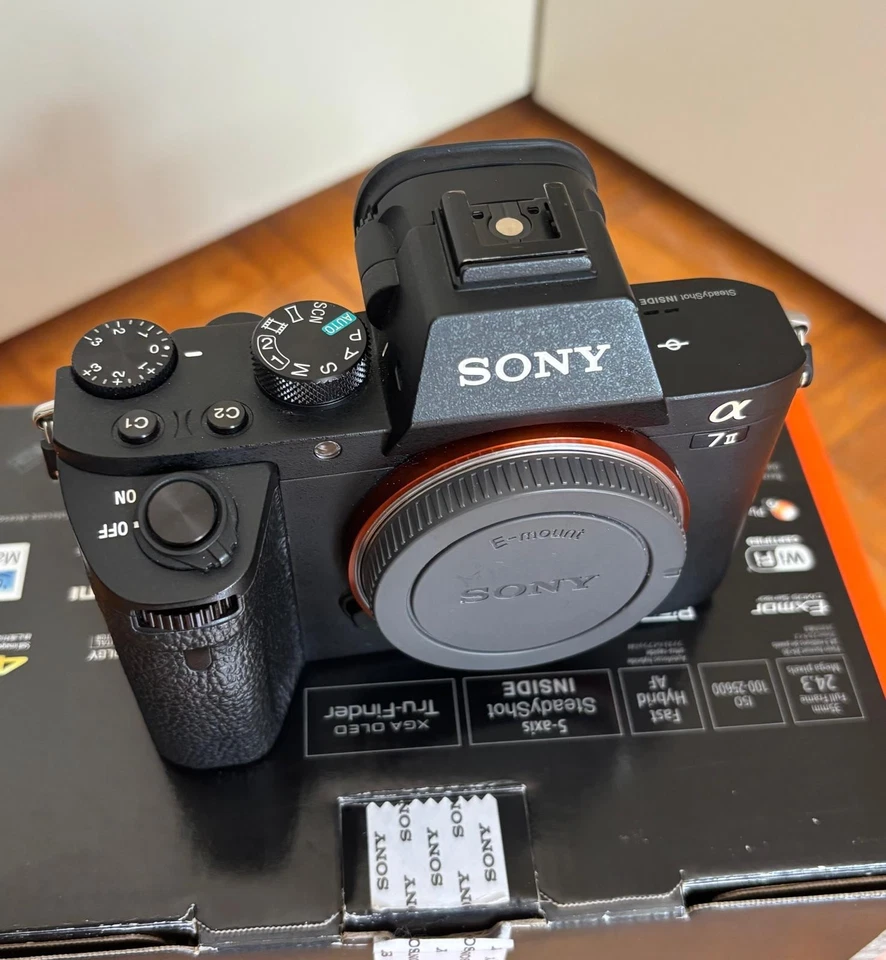 Sony Alpha 7 II, foto 2 di 5